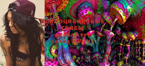 PSILOCYBIN Михайлов