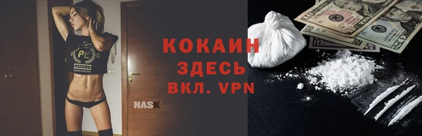 PSILOCYBIN Михайлов