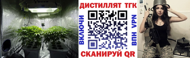 darknet официальный сайт  Киренск  ТГК вейп с тгк 